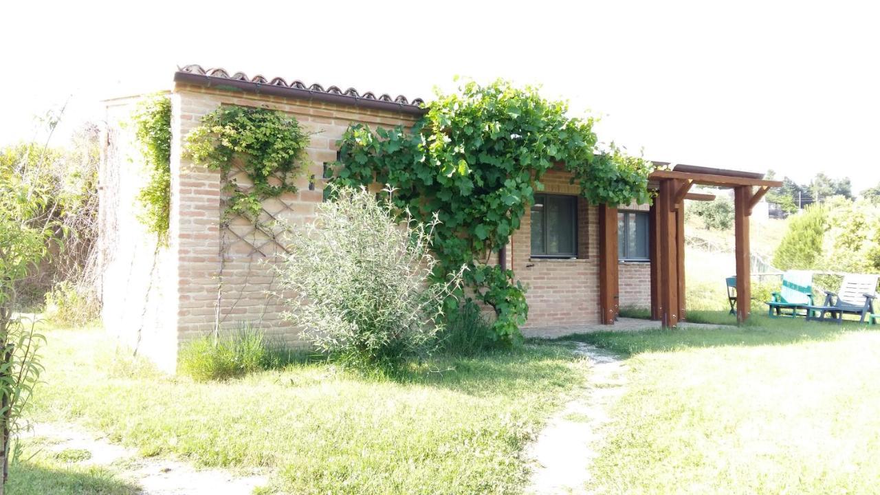 Locanda San Francesco Montecarotto Esterno foto