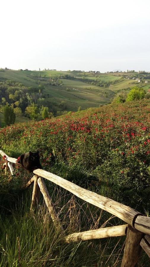 Locanda San Francesco Montecarotto Esterno foto