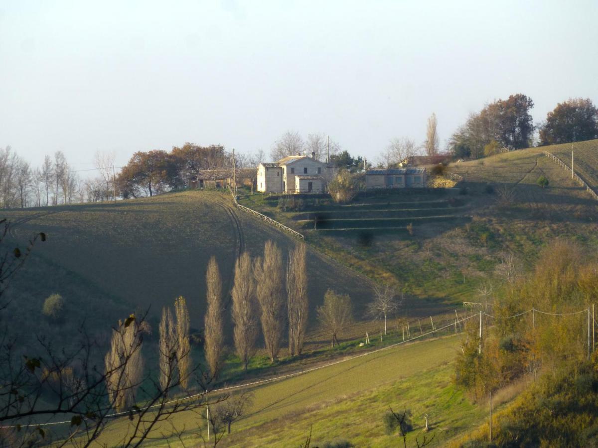 Locanda San Francesco Montecarotto Esterno foto